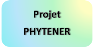 PHYTENER